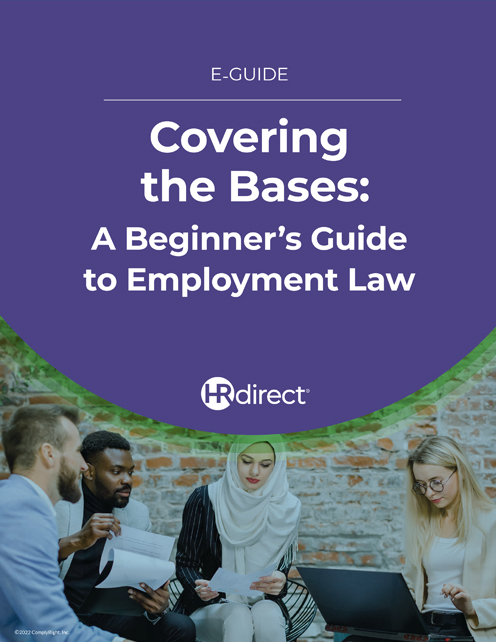 Beginners Guide to Employment Law