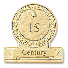 Picture for category Anniversary Pins