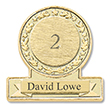 Service Award Pin Gold