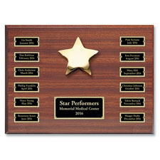 Star Performer Recognition Program Basic
