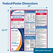 Picture of Federal & State Poster Set