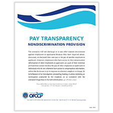 Picture of Pay Transparency Policy Poster