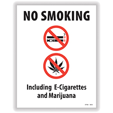 No Smoking/E-Smoking Poster