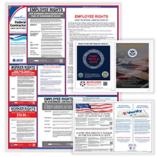 Picture of Federal Contractor Poster Bundle