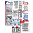 Federal Contractor Poster Bundle Spanish