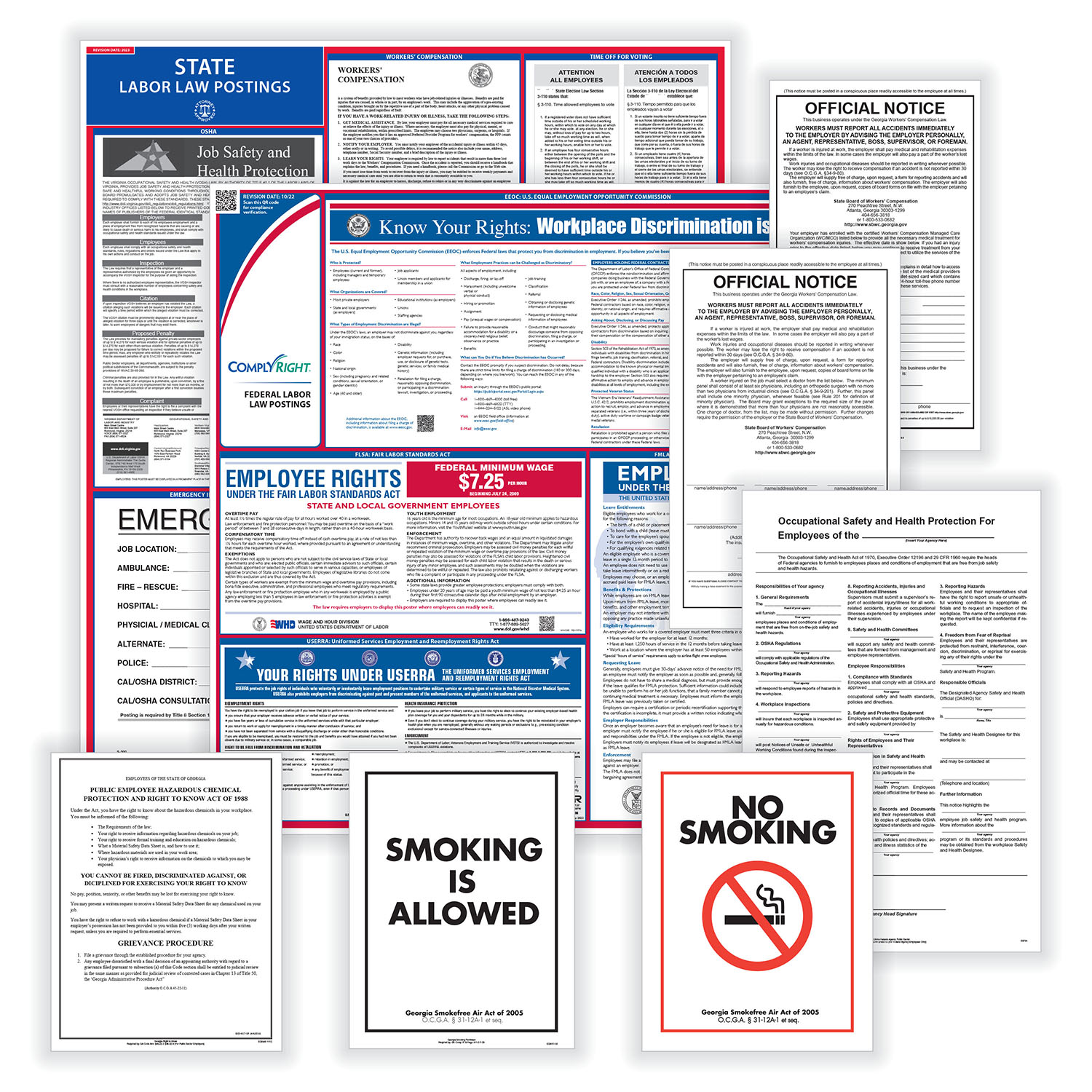 Picture of ComplyRight Federal & State Poster Set for Public Sector