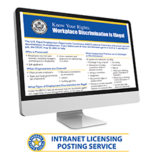 Picture of Intranet Licensing Service – 12-Month Service