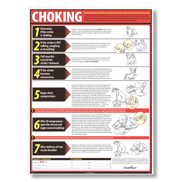 Lifesaving Choking Poster, Emergency Response Care