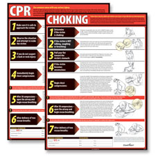 CPR and Choking Poster Set 