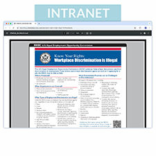 Intranet License Labor Law Posting Service