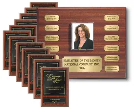 Traditional Photo Recognition Program – Premium