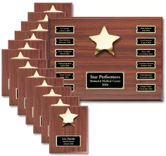 Star Performer Recognition Program –  Premium