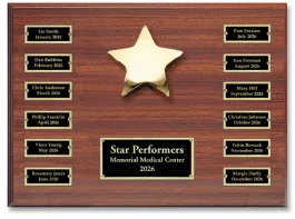 Star Performer Recognition Program –  Basic