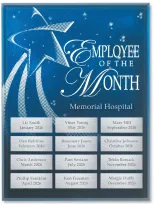 Rising Star 
Recognition Program – Basic