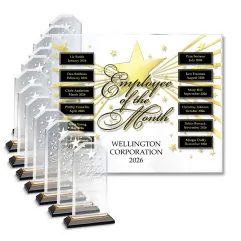 Star-Studded Recognition Program – Premium